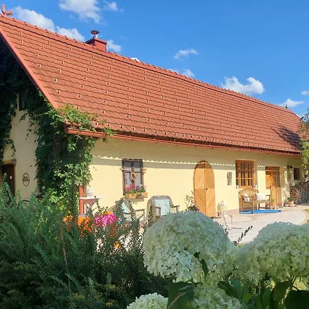 In Traumhafter Lage Mit Naturbadeteich Apartment